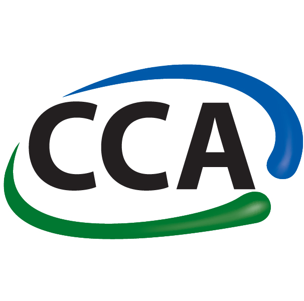 CCA-3th Month Certificate in Computer Accounting